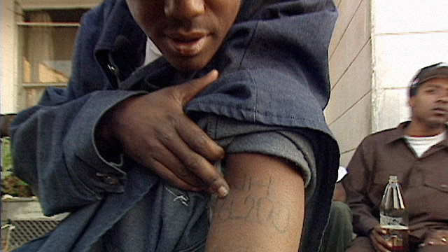 Watch Slippin': 10 Years with The Bloods Online