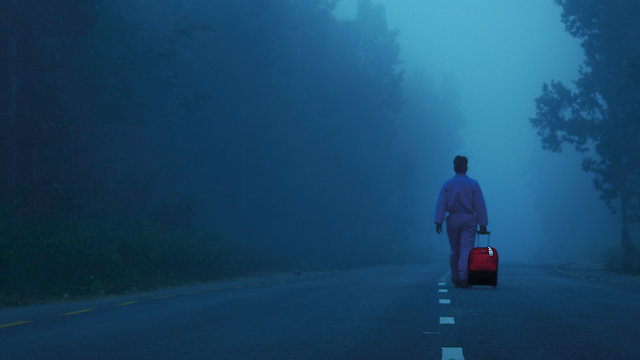 Watch The Red Suitcase Online