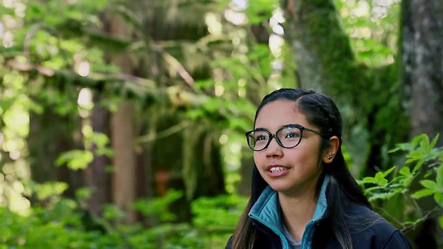 Watch Great Bear Rainforest Online