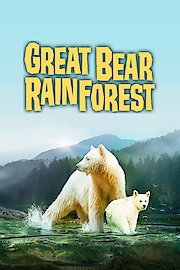 Great Bear Rainforest poster