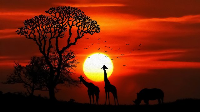 Watch Mobutu's African Movie Theater: Episode 5 Online