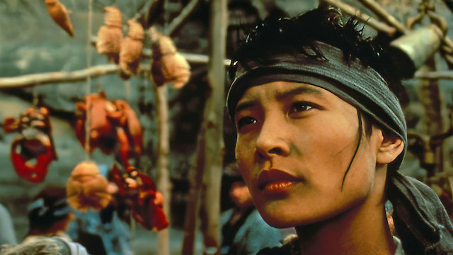 Watch Salute of the Jugger Online