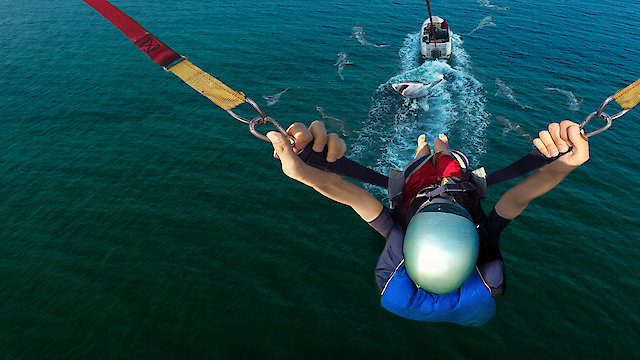 Watch Caught! Sharks Strike Back Online