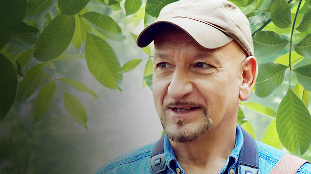 Watch Birder's Guide to Everything, A Online