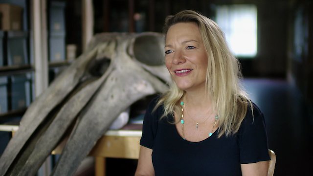 Watch The Nazi Whaling Squadron Online