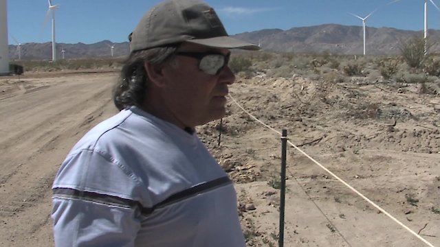 Watch Greed Energy Online