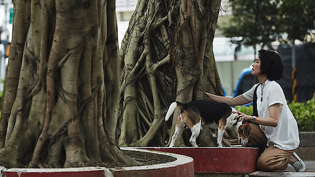 Watch Increasing Echo Online