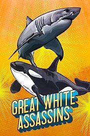 Great White Assassins