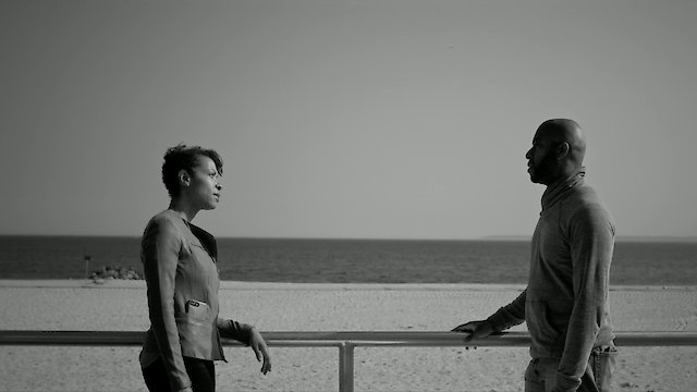 Watch These Birds Don't Fly South in the Winter Online