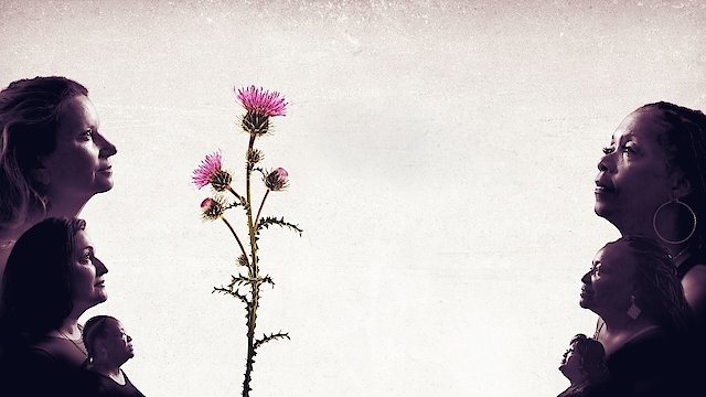 Watch Thistle Online