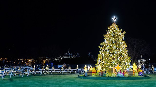 Watch The National Christmas Tree: A Century of Celebration Online