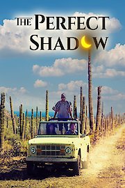The Perfect Shadow