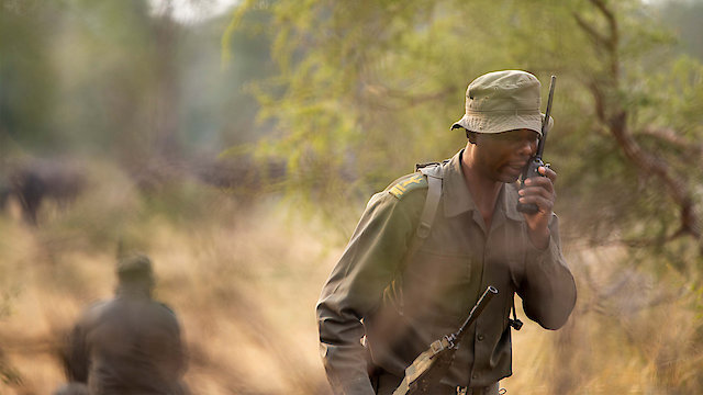 Watch Rhino Man Online