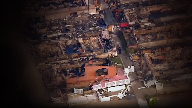 Watch Business of Disaster Online