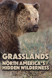 Grasslands: North America's Hidden Wilderness poster