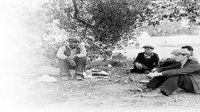 Watch Riding the Rails Online