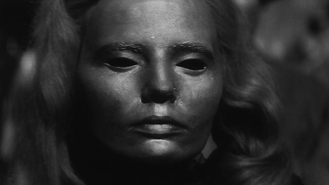 Watch The Golden Fern Online