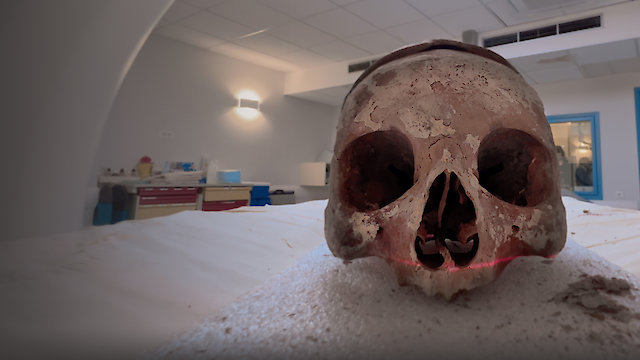 Watch Lost Tombs of Notre Dame Online