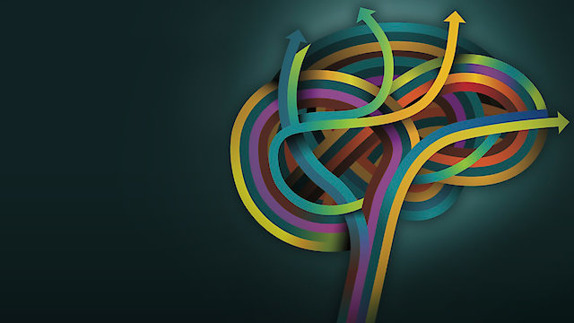 Watch The Distracted Mind with Dr. Adam Gazzaley Online