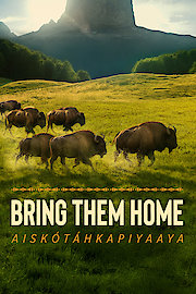 Bring Them Home poster