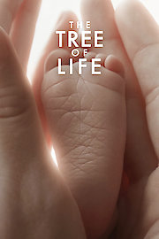 The Tree of Life poster