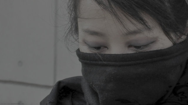 Watch The Knight Squad Online