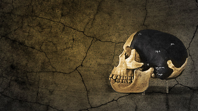 Watch The Piltdown Man Online