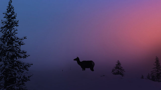 Watch Yellowstone National Park in Winter Online