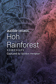 Hoh Rainforest
