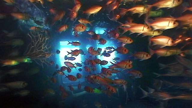 Watch Underwater Realm Online