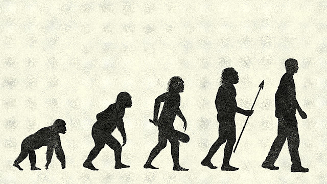 Watch The Monkey Trial Online