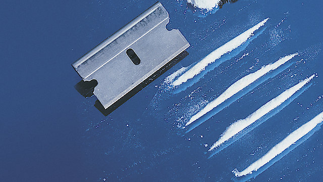 Watch Cocaine: History Between the Lines Online