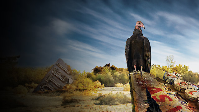 Watch Life After People Online