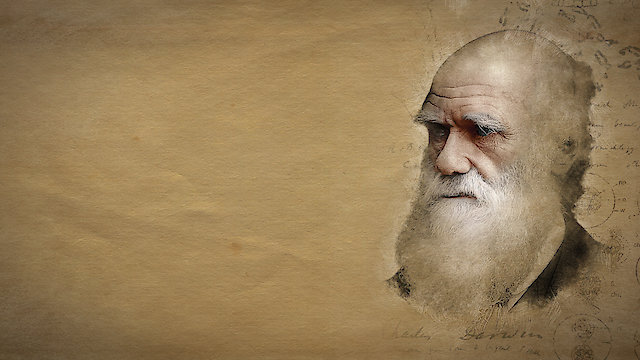 Watch Dismantled: A Scientific Deconstruction of The Theory of Evolution Online