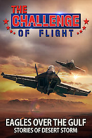 The Challenge of Flight - Eagles Over The Gulf Stories of Desert Storm poster