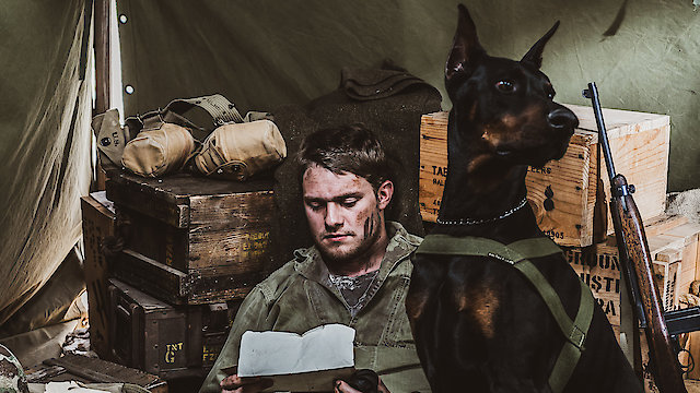 Watch Walking Point Online