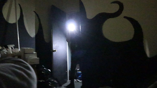 Watch The Manor House Online