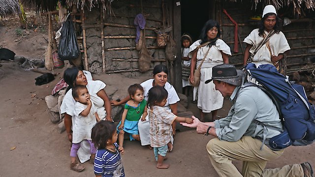 Watch Switch On Online