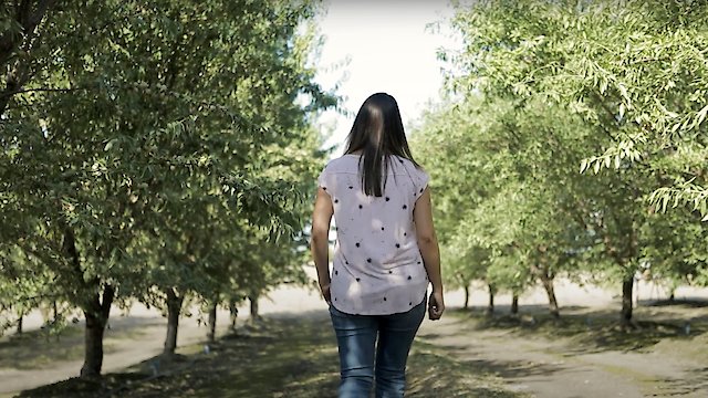 Watch Until the Last Drop Online