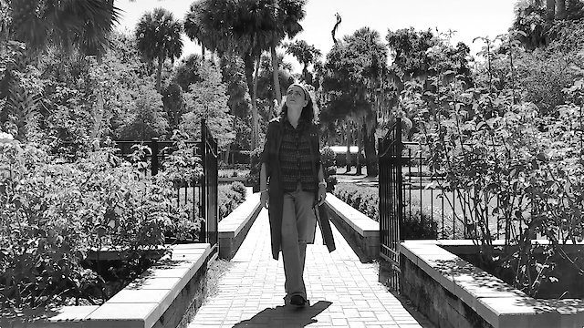 Watch Simple Like Silver Online