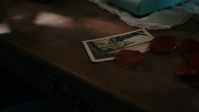 Watch Dead Rose Online