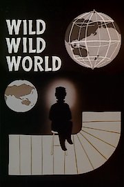 Wild Wild World poster