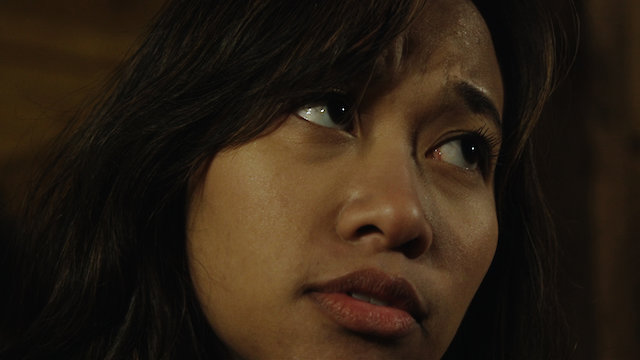 Watch Not So Silent Night Online