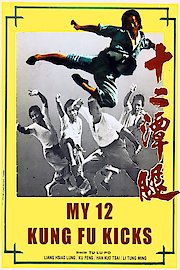 My Kung Fu 12 Kicks poster