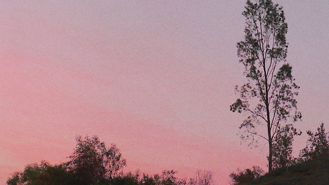 Watch Cobalt Heir Online