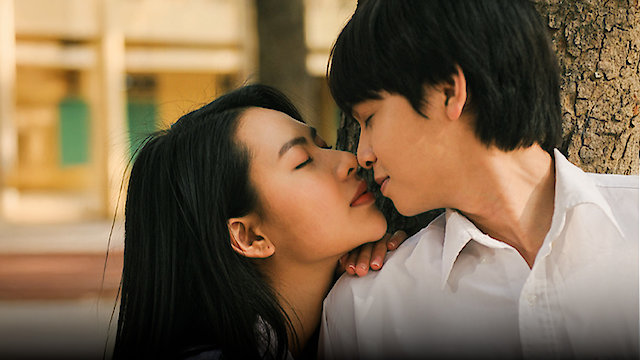 Watch My Precious Youth Online