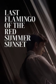 Last Flamingo of the Red Summer Sunset