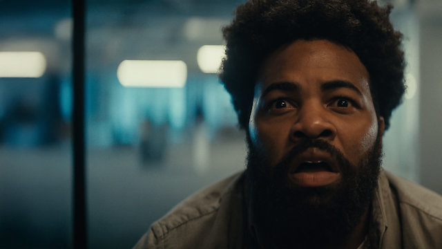 Watch Kombucha Online