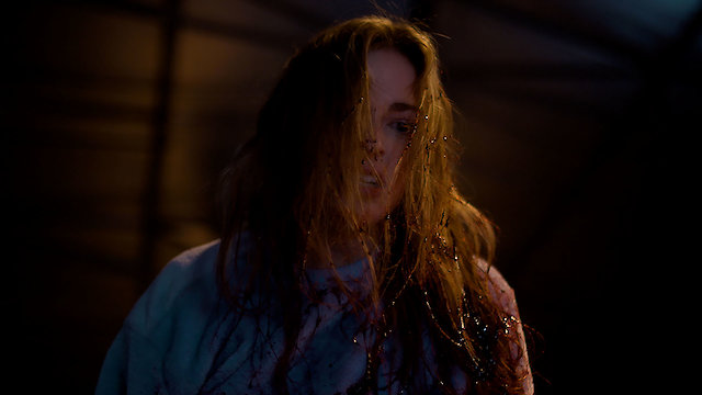 Watch The Vindicator Online