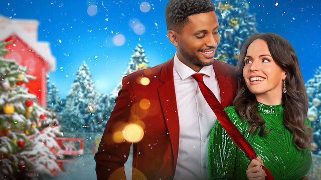 Watch Merry Missed Connection Online